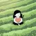 Sim S., Community manager